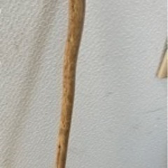 杖   、ステッキ