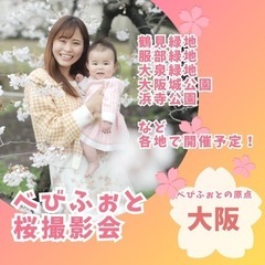 【べびふぉと撮影会】春の桜撮影会 in 大阪城公園の画像