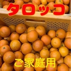 ☆★☆ブラッドオレンジ『タロッコ』5kg☆★☆