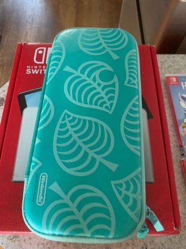 Nintendo Switch 本体 ピンク/ミント SDカード付き Nintendo Switch