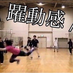 【最高に楽しい】バレーボールチーム（静岡県富士市）