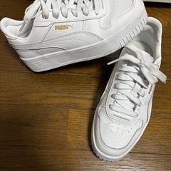 puma 靴/バッグ 靴 スニーカー