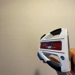 テーラーメイド　パター