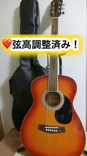 ❤️弦高調整済み！　レジェンド　Legend by Aria FG-15 CS＋ケース付き！