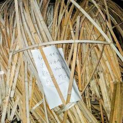 トンネル栽培用竹