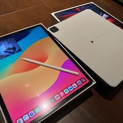 【ネット決済・配送可】12.9インチiPad Pro第5世代 5...