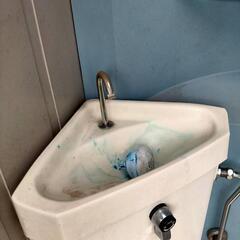 屋外用水洗式トイレ