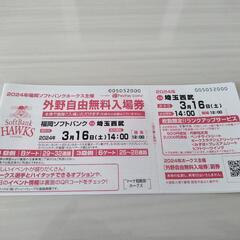【決定】3月16日(土曜)　オープン戦外野自由無料入場券(ソフト...