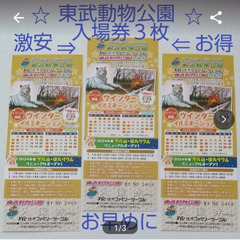 東武動物公園入場券３枚セット、定価大人1900円バラ売り１枚70...