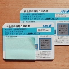 【値下】ANA株主優待2枚+優待冊子2部