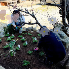 佐倉市 小篠塚城址園内 お花のお世話をして頂けるボランティ…