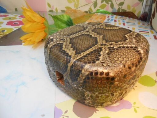 新品未使用(送料無料)17.980円沖縄三線専用木製盛嶋チーガを蛇皮強化型へ仕立 新品未使用(送料無料)17.980円沖縄三線専用木製盛嶋チーガを蛇皮強化型