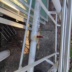 剪定用脚立 12尺（360cm）