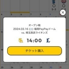 3/16（土）ソフトバンクホークスvs西武ライオンズ　ペアチケット