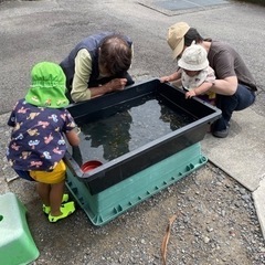 3月16日&17日　めだかすくい