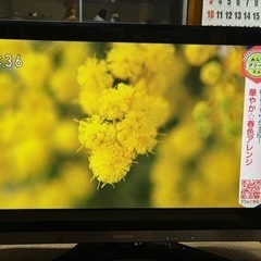 家電 テレビ 液晶テレビ