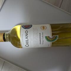 (相談中)白ワイン ”チラノ シャルドネ”