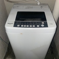 家電 生活家電 Hisense 洗濯機 5.5kg