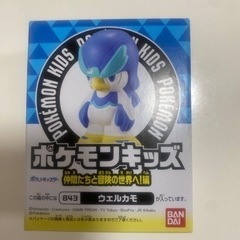 ポケモンキッズ　ウェルカモ