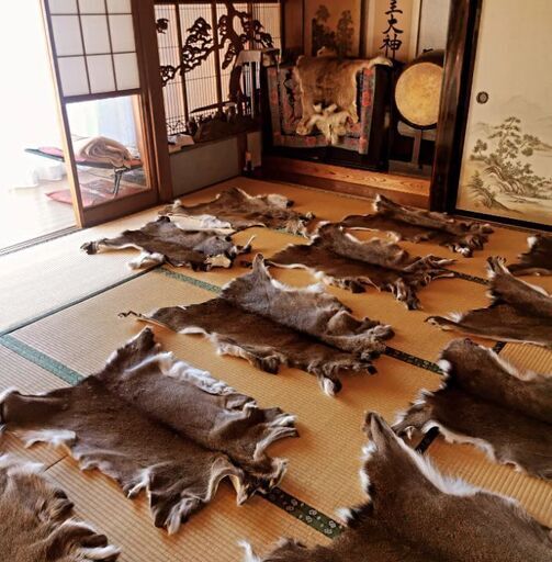 鹿ちゃん毛皮ラグマットありますよ野営キャンパー必須❤️㊙️