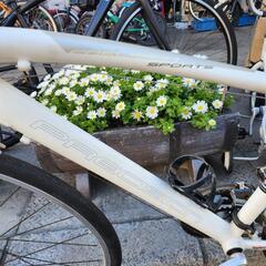 クロスバイク　７００ｘ２８ｃ　3x７変速　フレーム　アルミ　美品　雨カバー　付き　白　配達可能