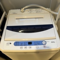 家電 生活家電 洗濯機