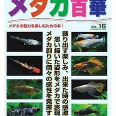 【予約受付】メダカ百華17‼️名古屋改良メダカ直売所！　〜ＮＭＢ〜 - 名古屋市