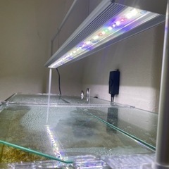 アクロ　ＴＲＩＡＮＧＬＥ　ＬＥＤ　ＧＲＯＷ　９００