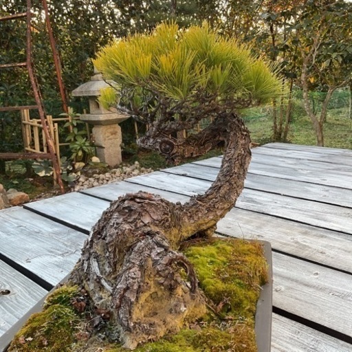 メーカー不明 CV SFCC 3c×14sq 30m 未使用品 【ハンズクラフト宜野湾店】