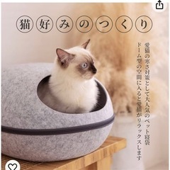 猫ドーム 茶色