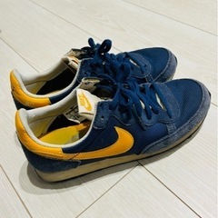 NIKE 25cm