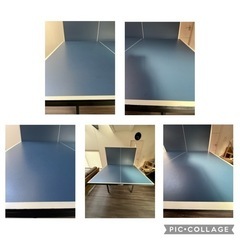 卓球台 & マシン & 集球ネット & トレ球 セット