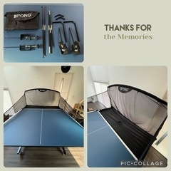 卓球台 & マシン & 集球ネット & トレ球 セット