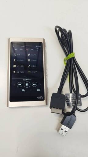 【訳アリ】SONY ウォークマン NW-A55/16GB