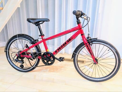20インチ子供用自転車(ASAHI ドライドR 6段変速)