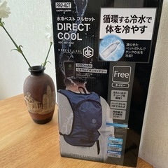 【ネット決済】暑ーい季節に！水冷ベスト　コーナンオリジナル　DI...