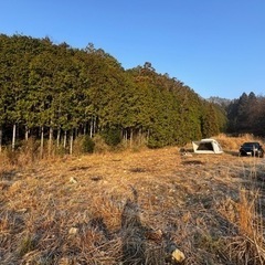 兵庫県丹波篠山市の約1千坪の土地、キャンプ場やドッグラン用地にの画像