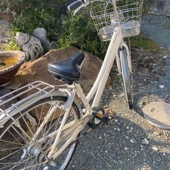 自転車アルベルト　取引中　