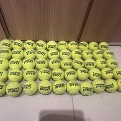 硬式テニスボール　50球　中古 