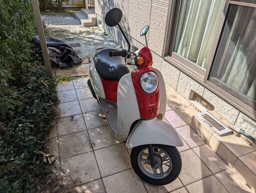 実動車★格安★ホンダ　スクーピー★50㏄　4サイクル　原付★合志市
