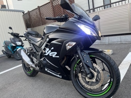 売れました！ 動画有り Kawasaki ニンジャ 250 KTRウィンターテスト限定モデル