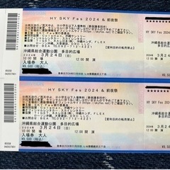 HY SKY Fes 2024 3月24日(日)入場券大人2枚セ...