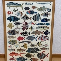 琉球の魚　沖縄の魚　ポスター　