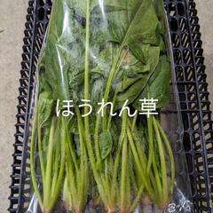 野菜まとめて(お話し中です。)