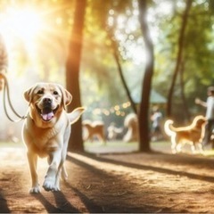 (偶数回目無料)犬散歩　小型   わんちゃんお散歩　(福岡七隈線...