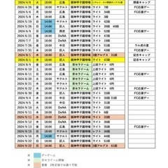 阪神タイガース観戦チケット