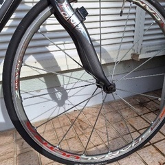 pinarello ピナレロ　バイク