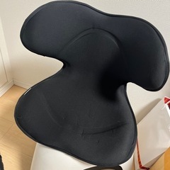 Style smart MTG 姿勢矯正グッズ 