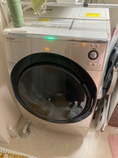 家電 生活家電 洗濯機