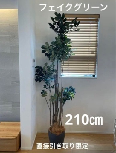 【受け渡し予定者決定】【新品未使用】観葉植物　フェイクグリーン　タイワンモミジ　210㎝